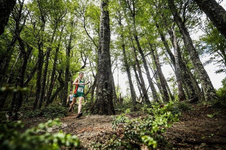 Los corredores recorrieron senderos dentro del bosque patagónico en el Mundial de Montaña, en Villa La Angostura.
Foto: Prensa K42